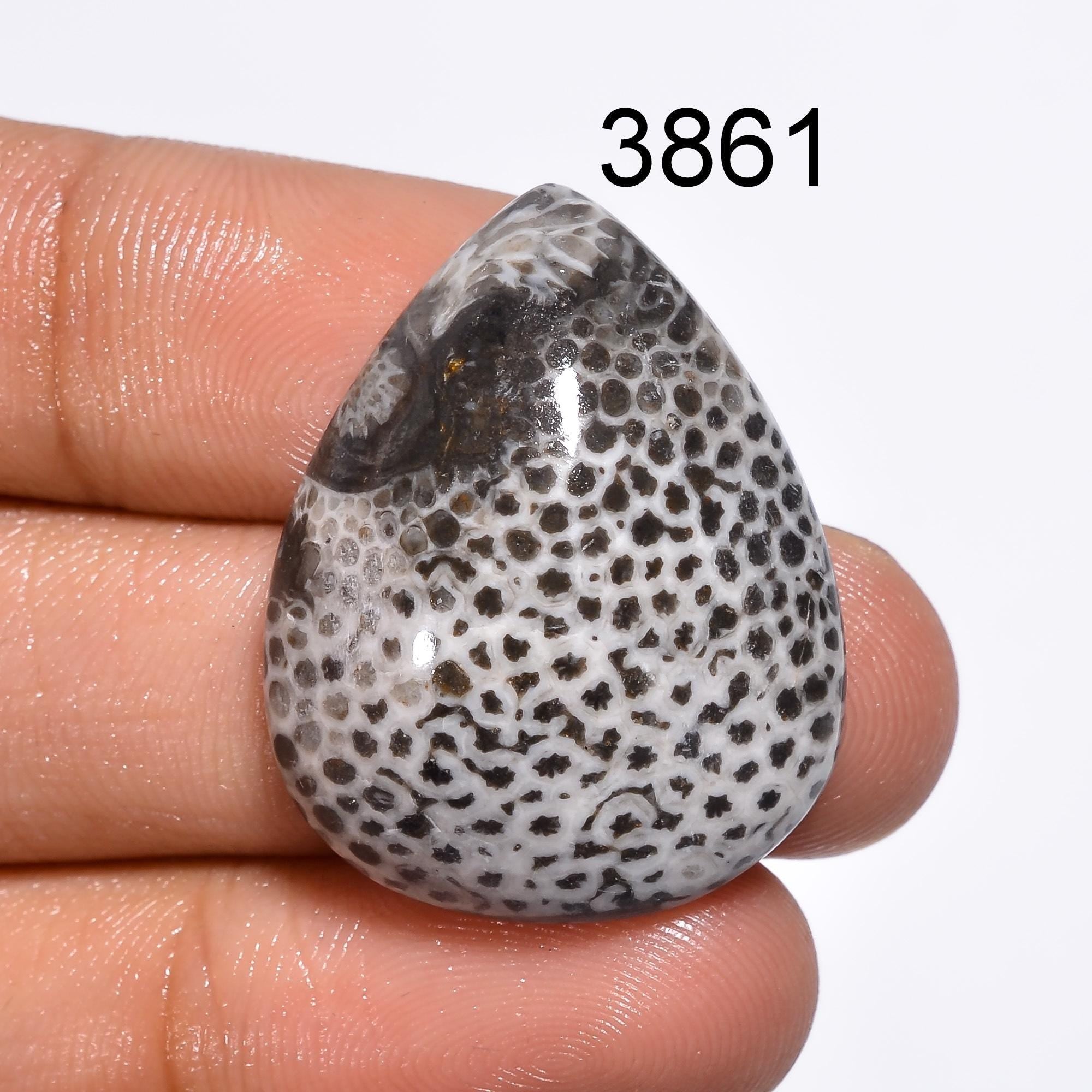 Black Fossil Coral Cabochon: Natural Gemstone for Jewelry Making Healing Crystal - image 6