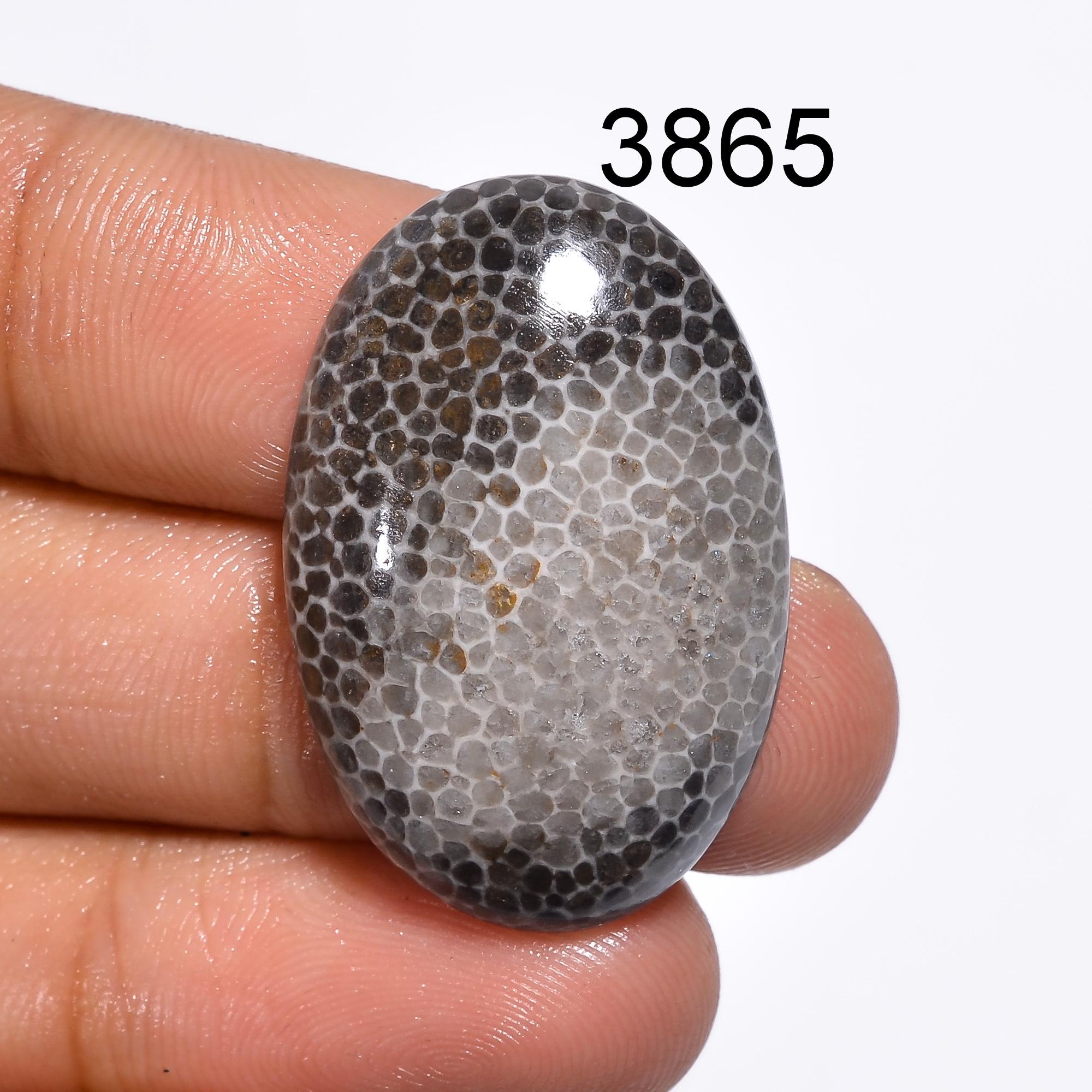 Black Fossil Coral Cabochon: Natural Gemstone for Jewelry Making Healing Crystal - image 3