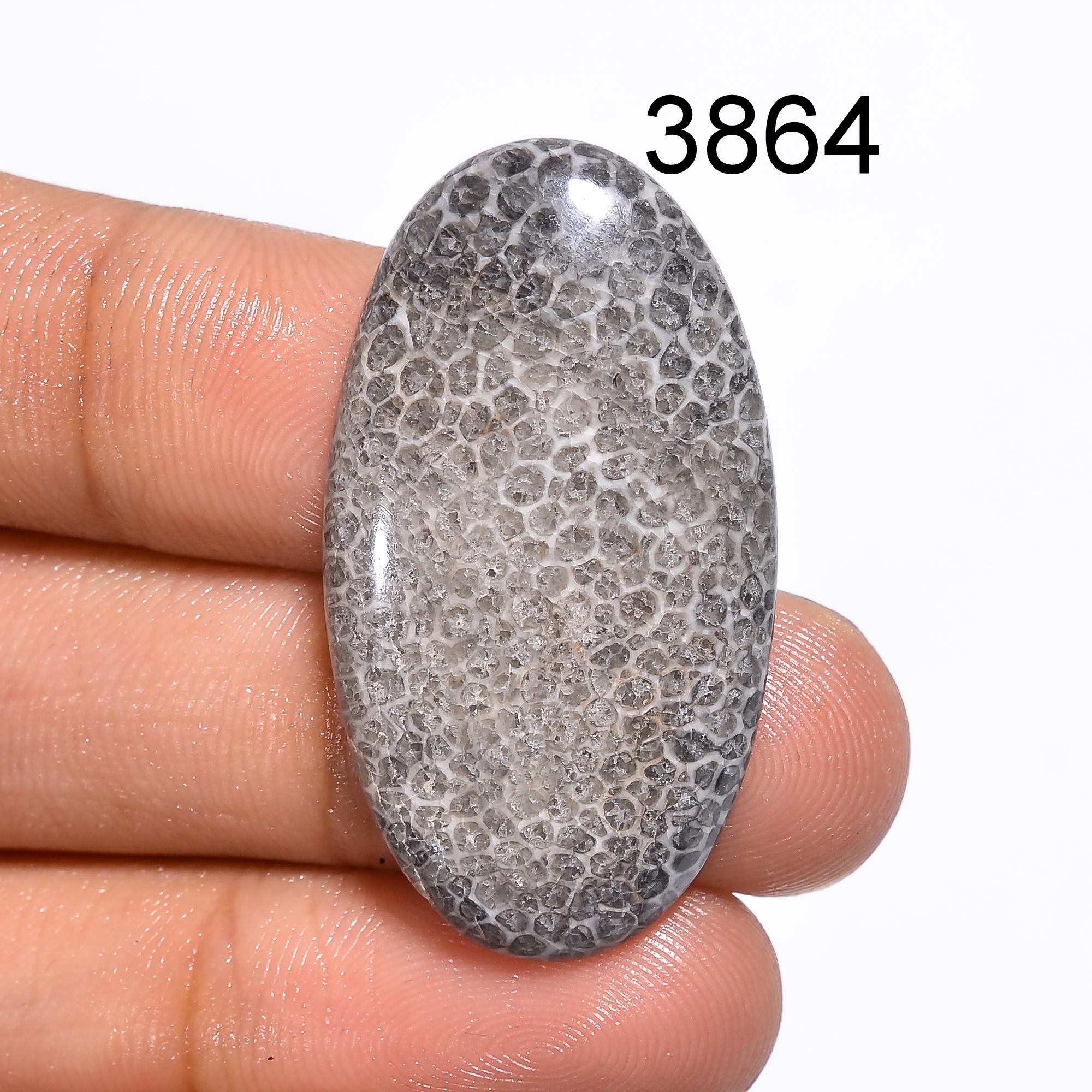 Black Fossil Coral Cabochon: Natural Gemstone for Jewelry Making Healing Crystal - image 2
