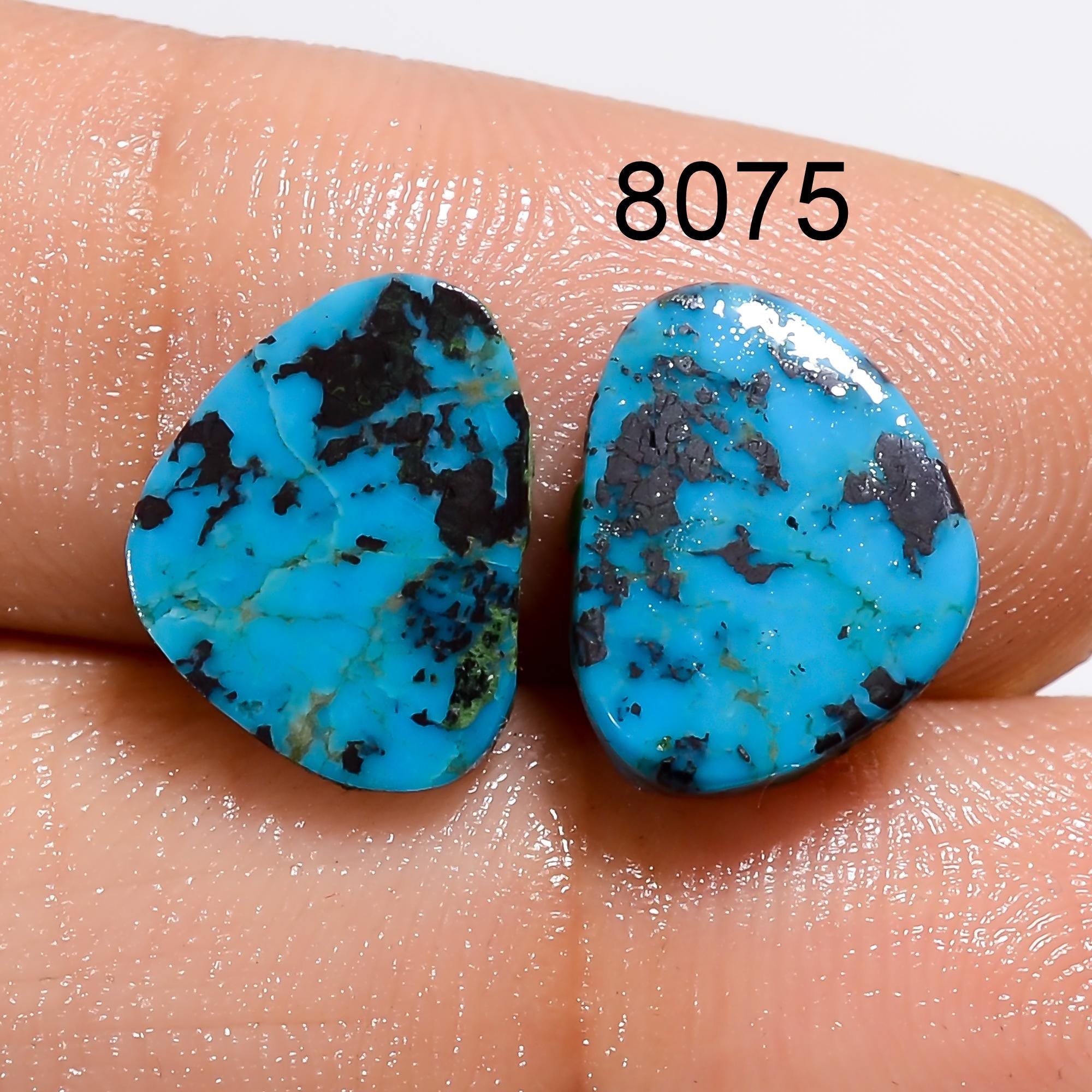 Natural Turquoise Cabochon Matched Pair Gemstone For Earring Jewelry Making - image 3