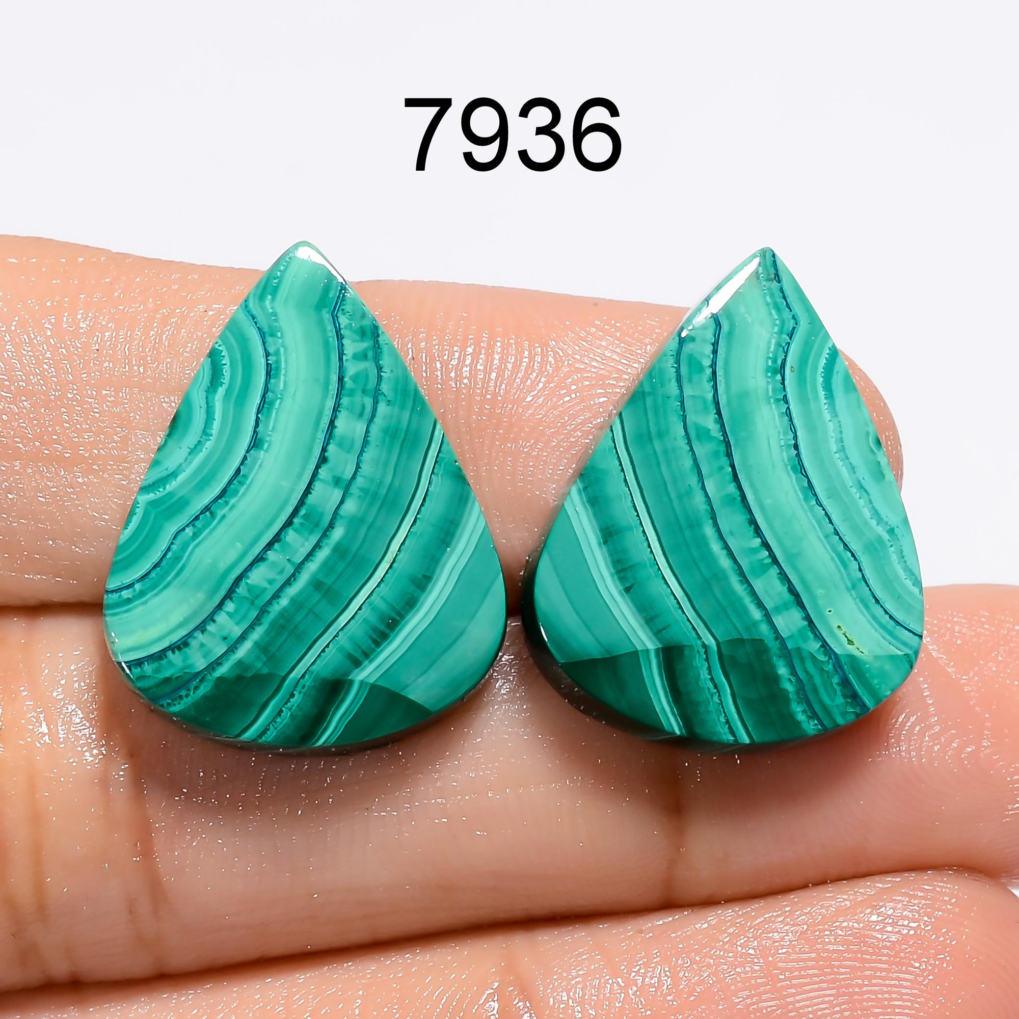 AAA African Malachite Gemstone Pair, Matched Cabochons - image 4