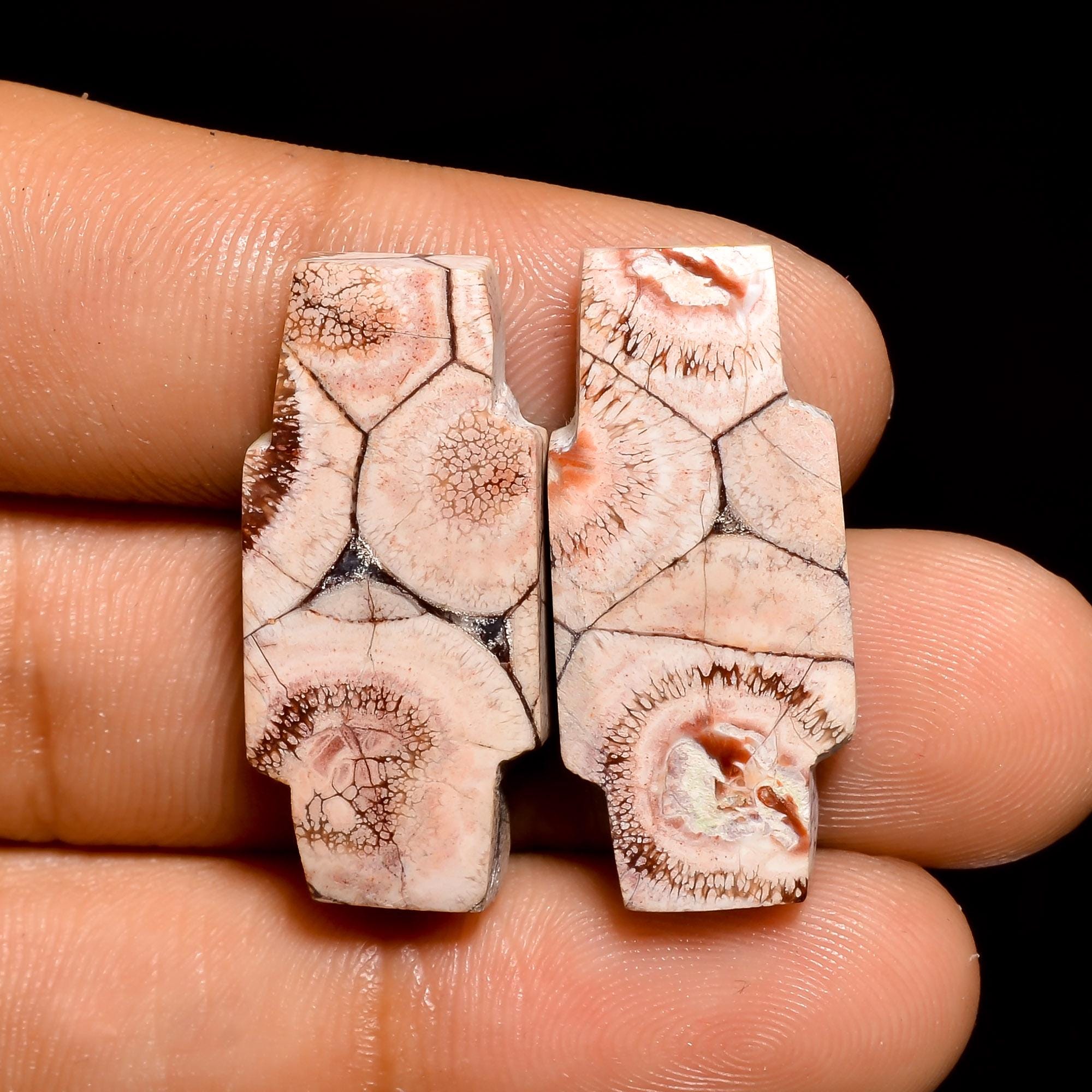 Bird's Eye Jasper Gemstone Cabochon Pair: Matched Earring Jewelry Supply Healing Crystal - image 3