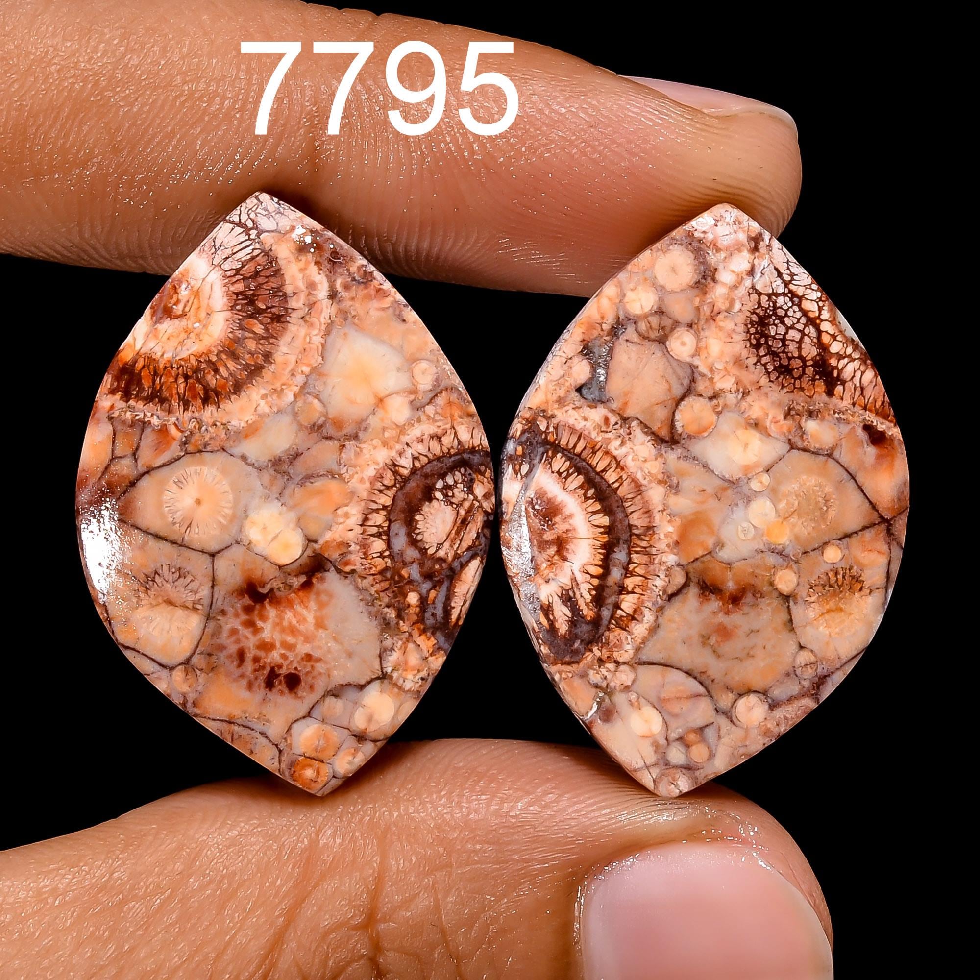 Bird's Eye Jasper Gemstone Cabochon Pair: Matched Earring Jewelry Supply Healing Crystal