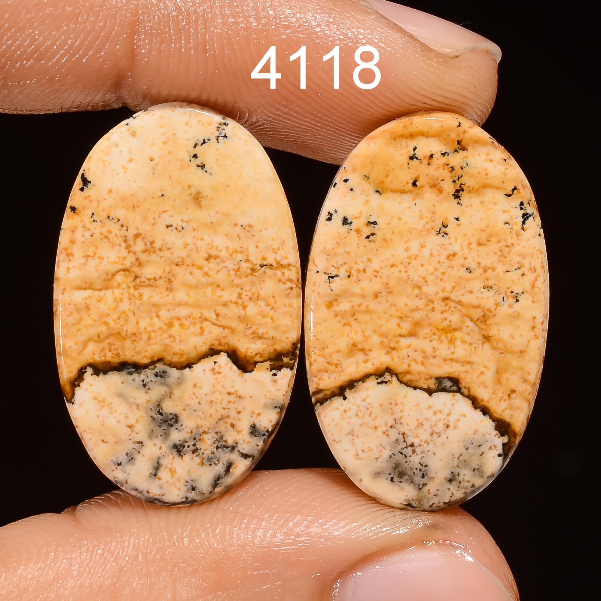 Natural Picture Jasper Cabochon Pair, AAA Quality Gemstone - image 4