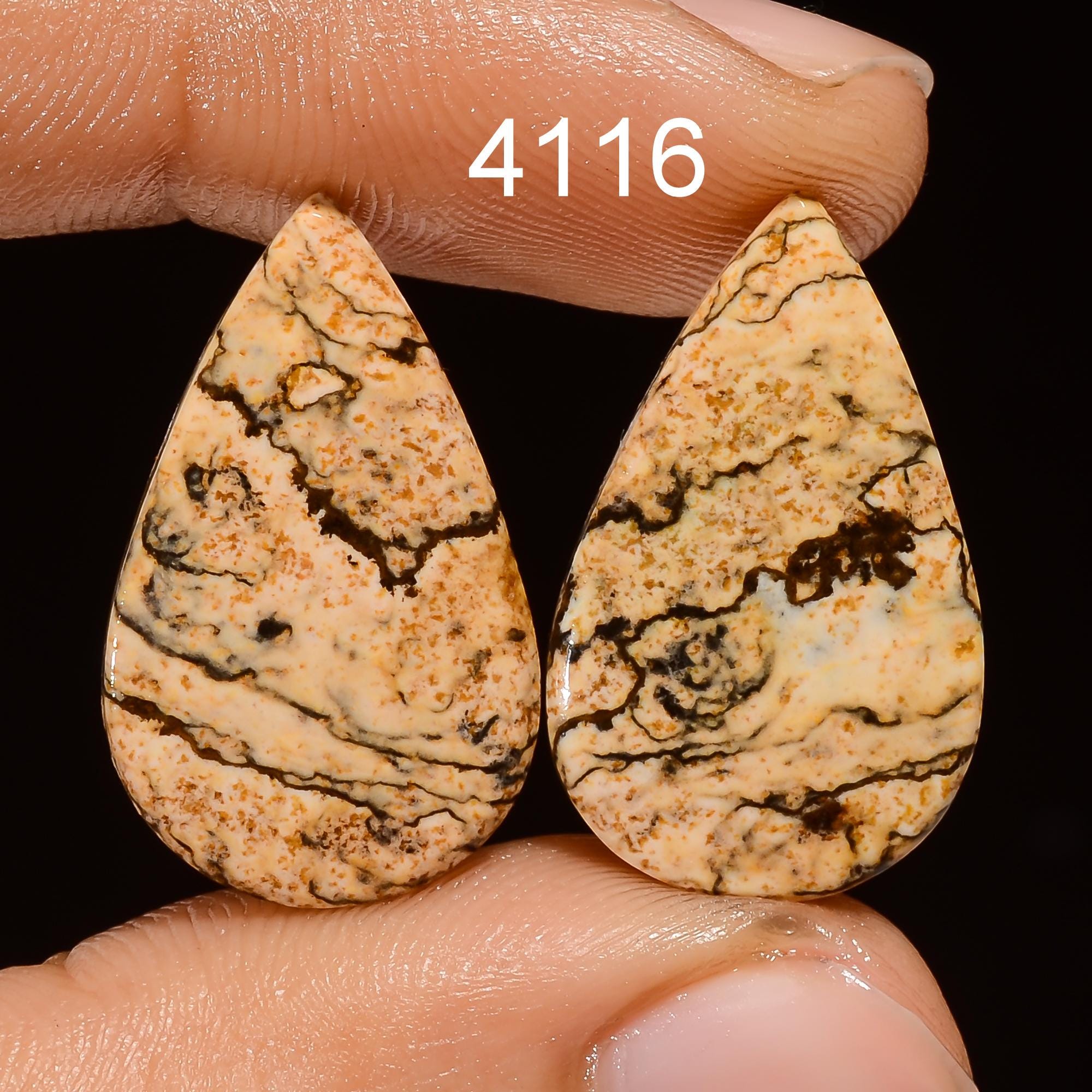 Natural Picture Jasper Cabochon Pair, AAA Quality Gemstone - image 3