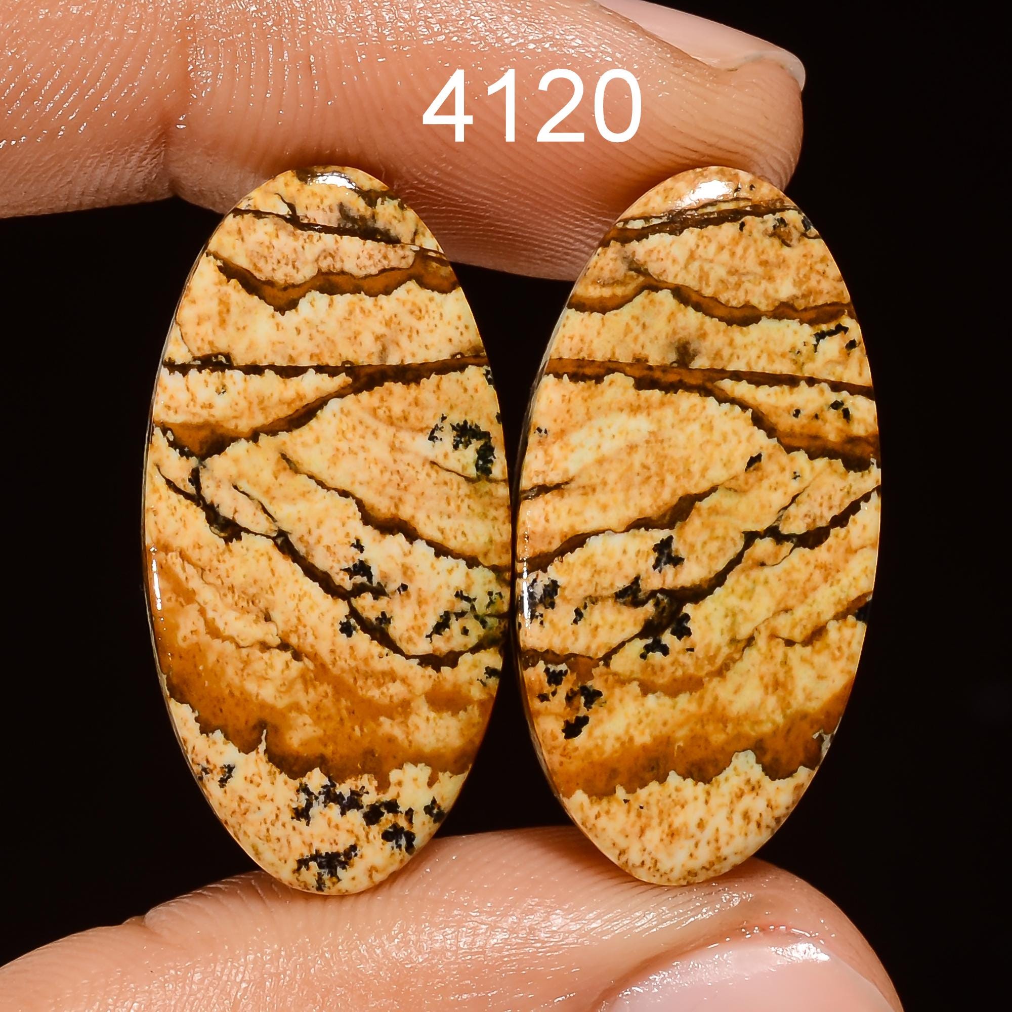 Natural Picture Jasper Cabochon Pair, AAA Quality Gemstone - image 6