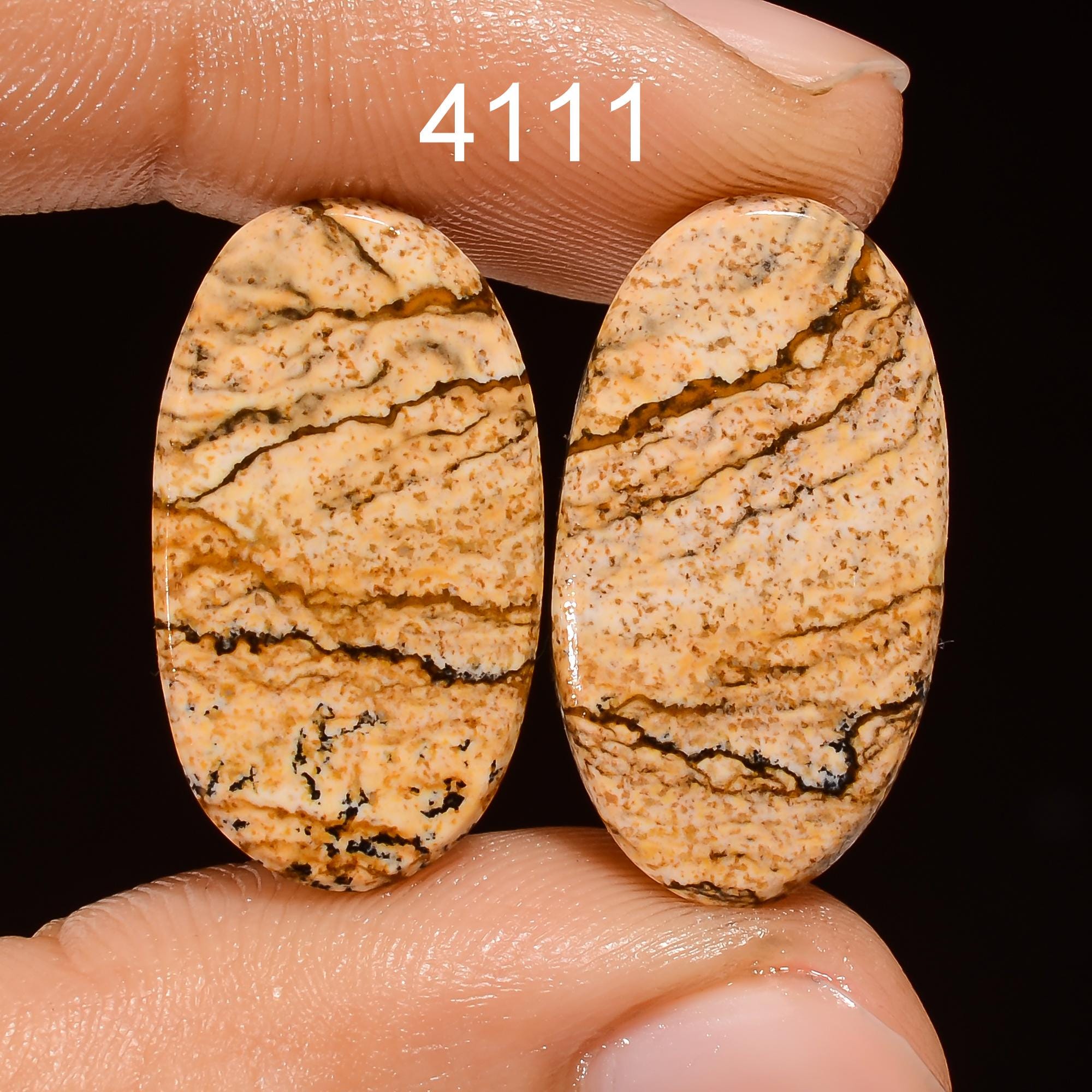 Natural Picture Jasper Cabochon Pair, AAA Quality Gemstone - image 2