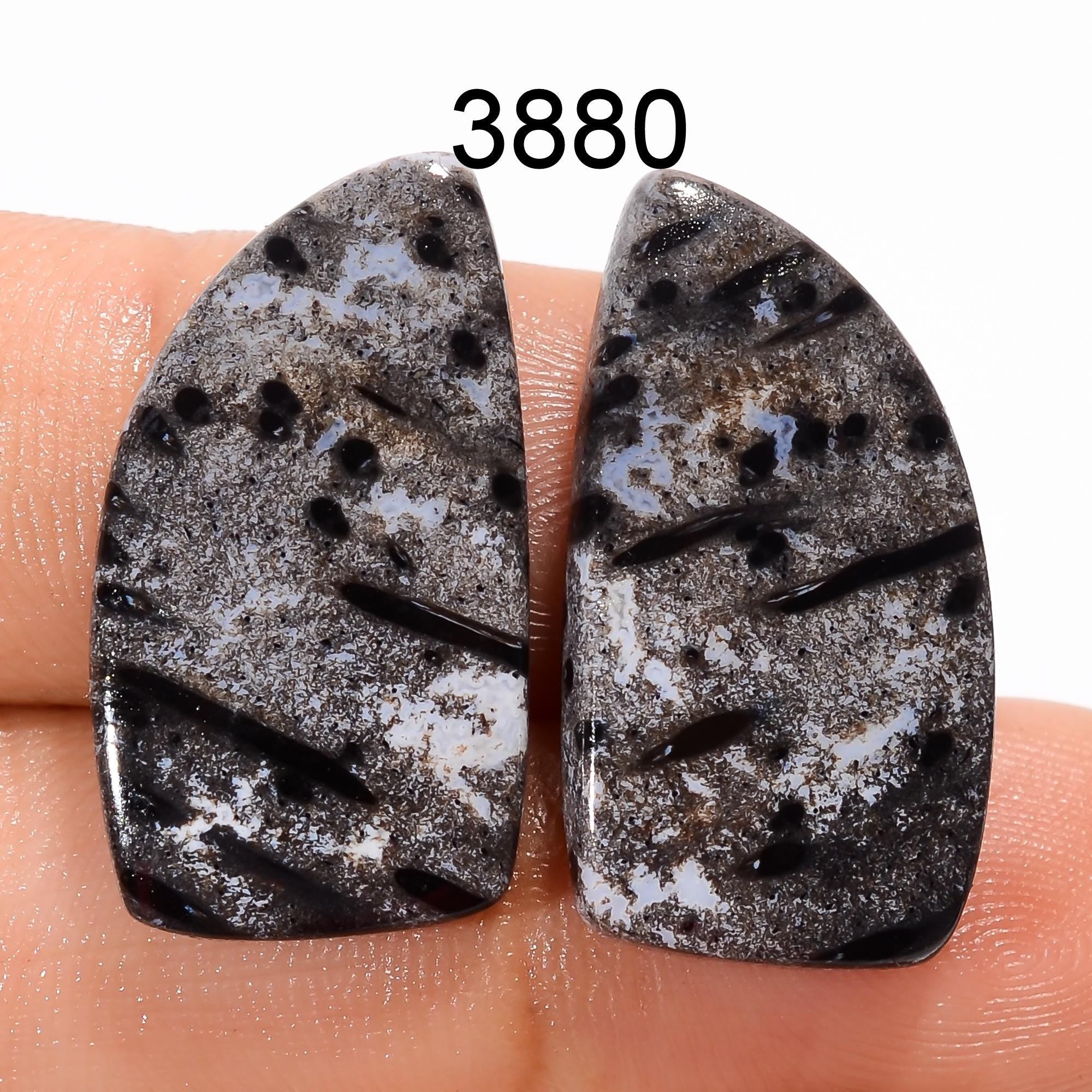 Black Palm Root Agate Gemstone Cabochon Pair, AAA Quality, 25 Ct