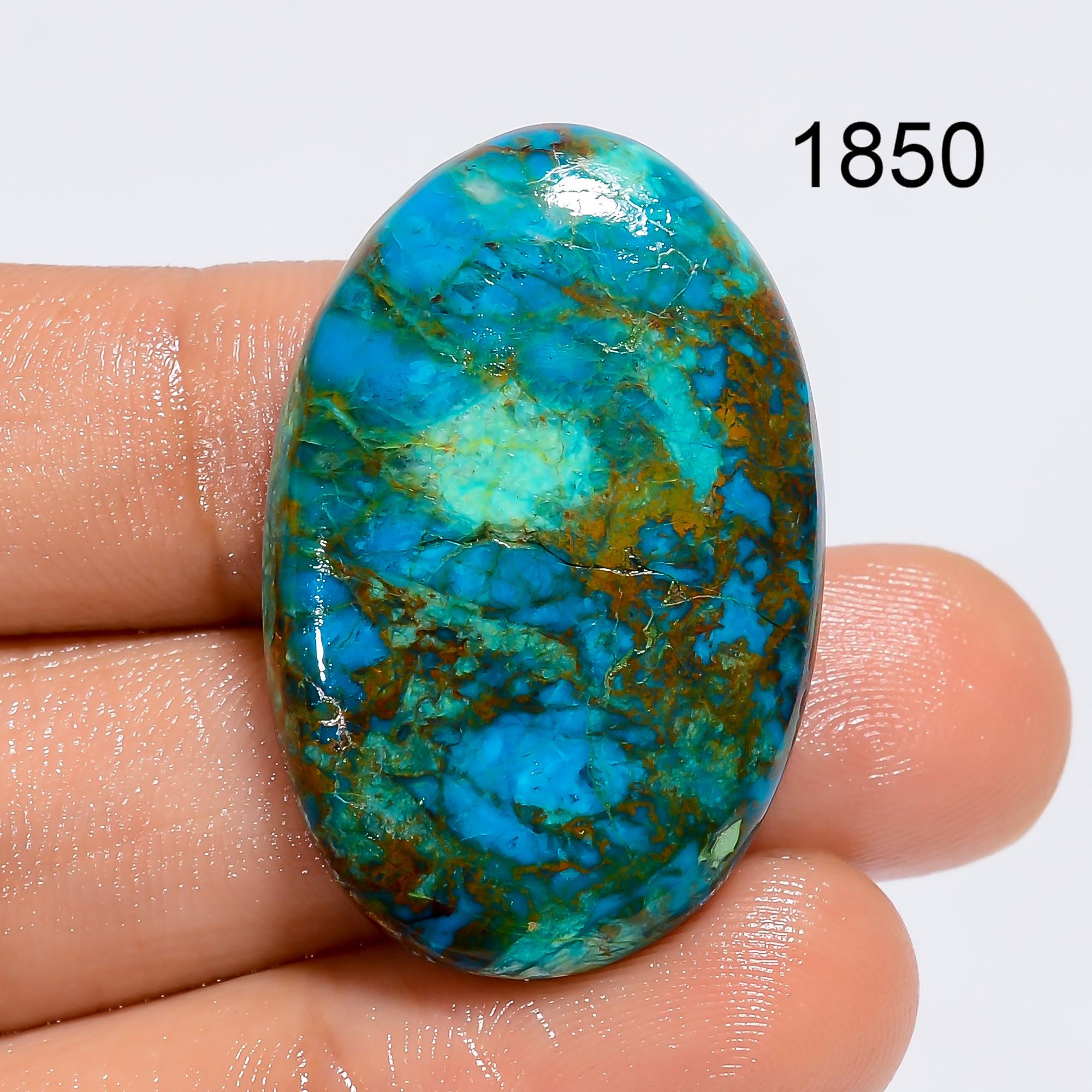 AAA Parrot Wing Chrysocolla Cabochon, Congo Gemstone - image 3