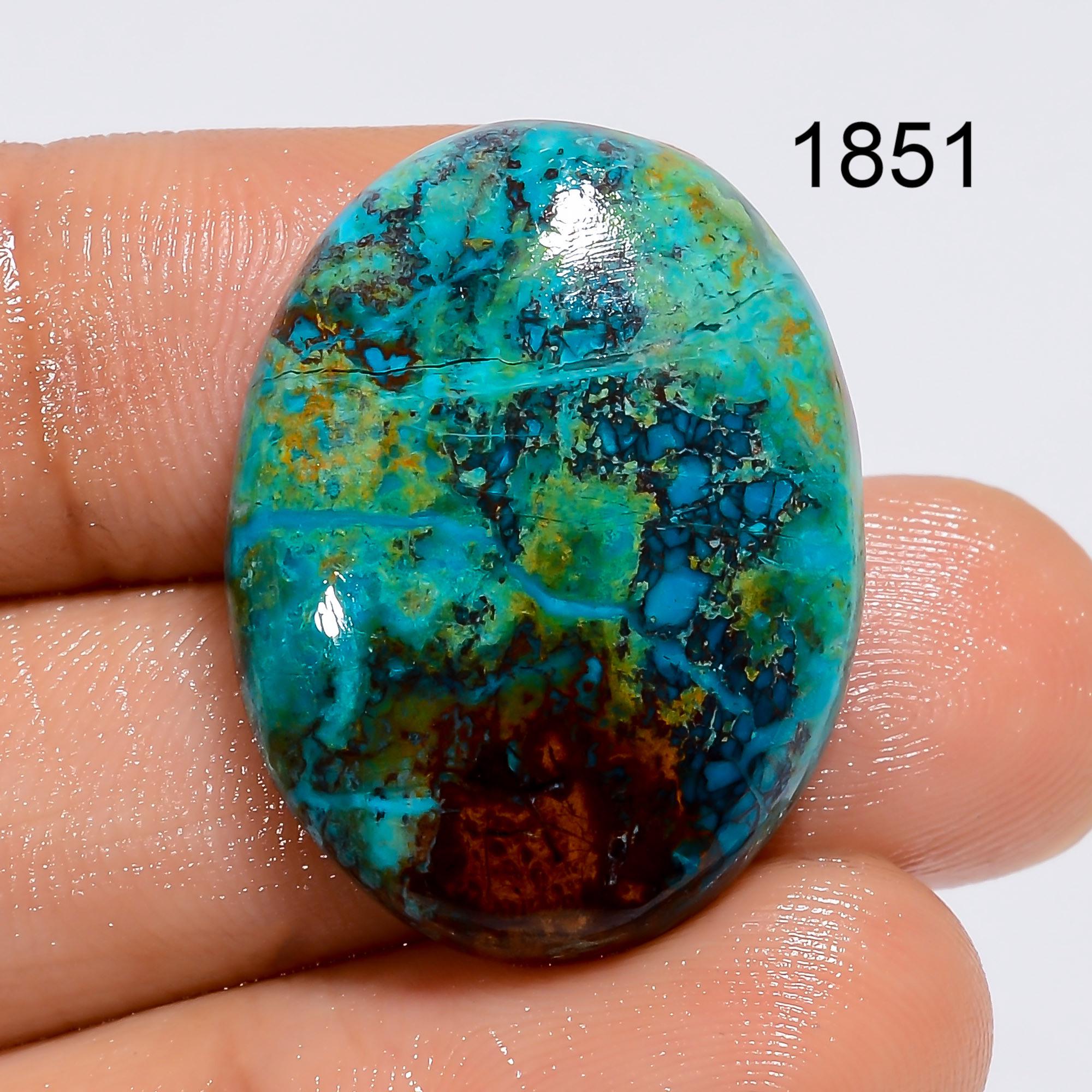 AAA Parrot Wing Chrysocolla Cabochon, Congo Gemstone - image 4