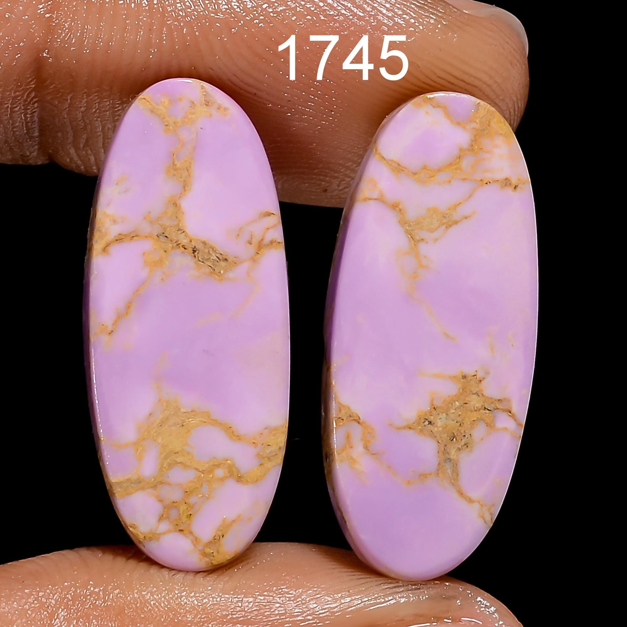 Phosphorite Gemstone Pair, Mixed Shape Matched Stones, Earring Jewelry Supply