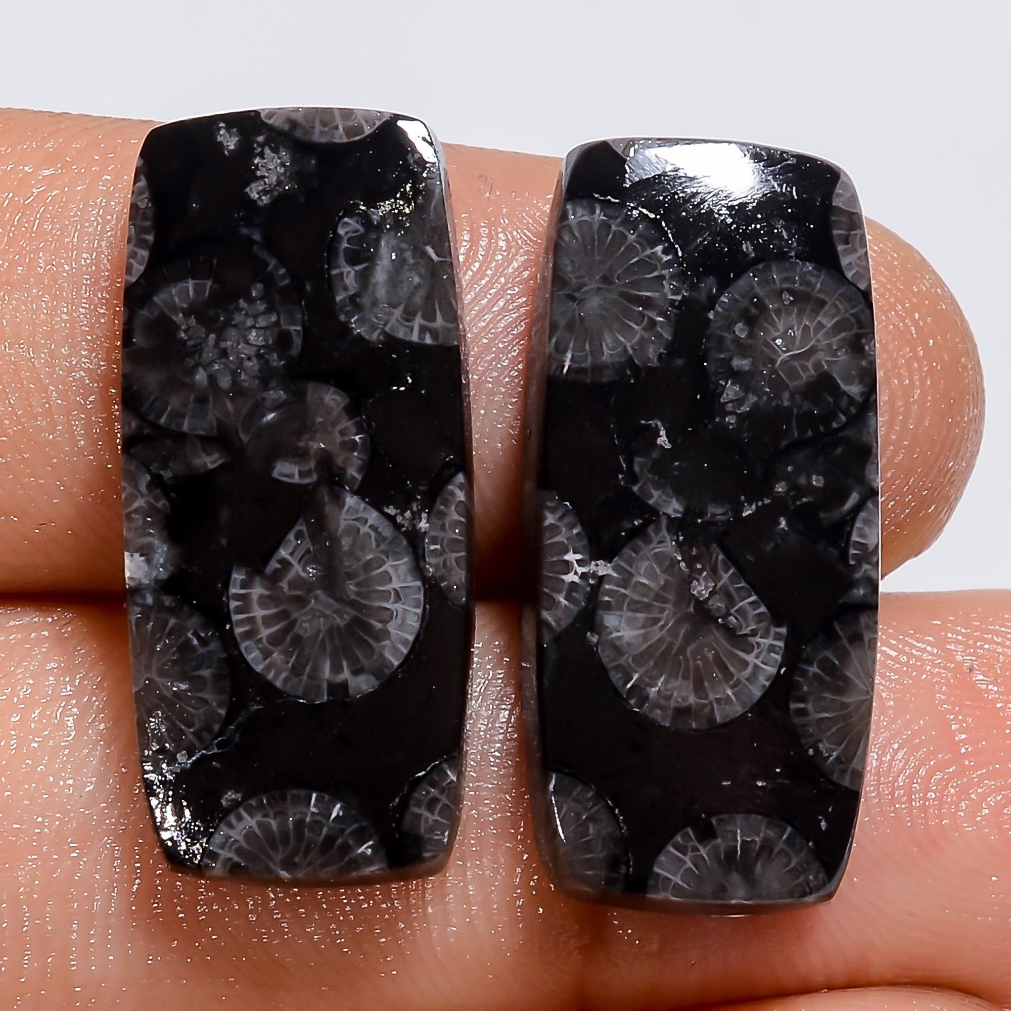 Black Fossil Coral Gemstone Pair, Mix Shape, Earring Jewelry Making Supply - image 3