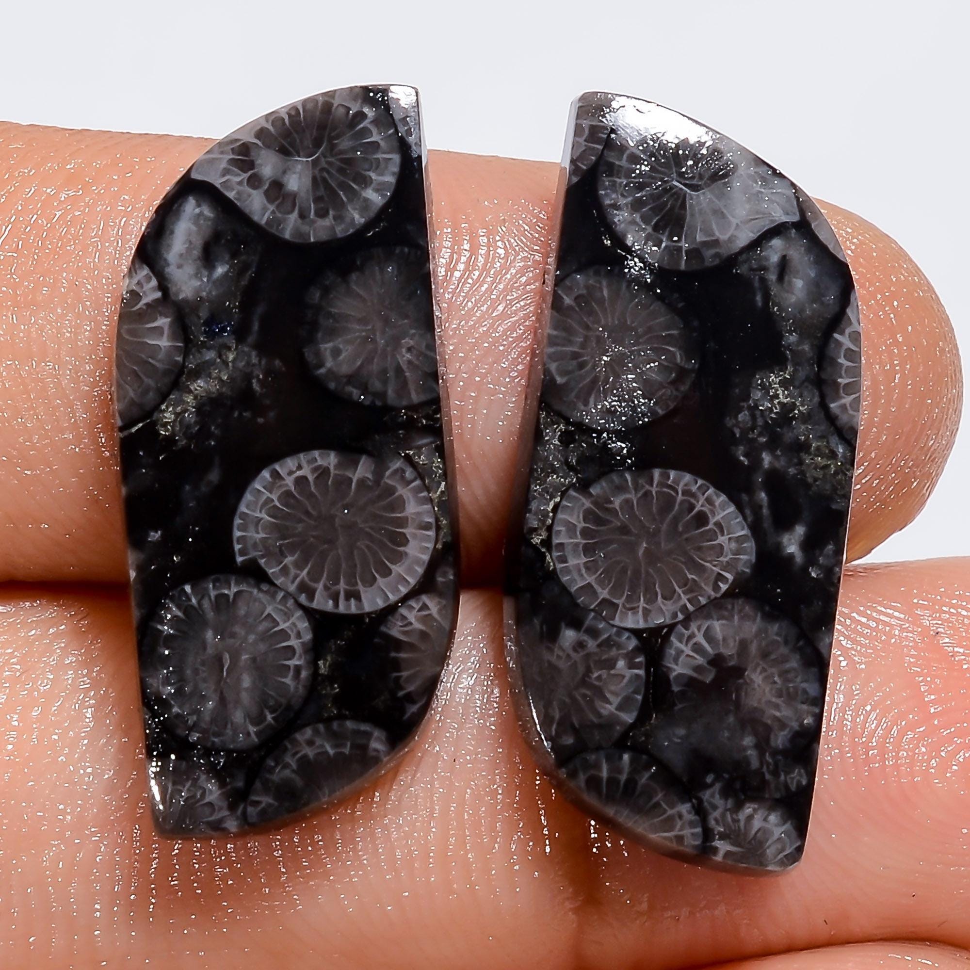 Black Fossil Coral Gemstone Pair, Mix Shape, Earring Jewelry Making Supply