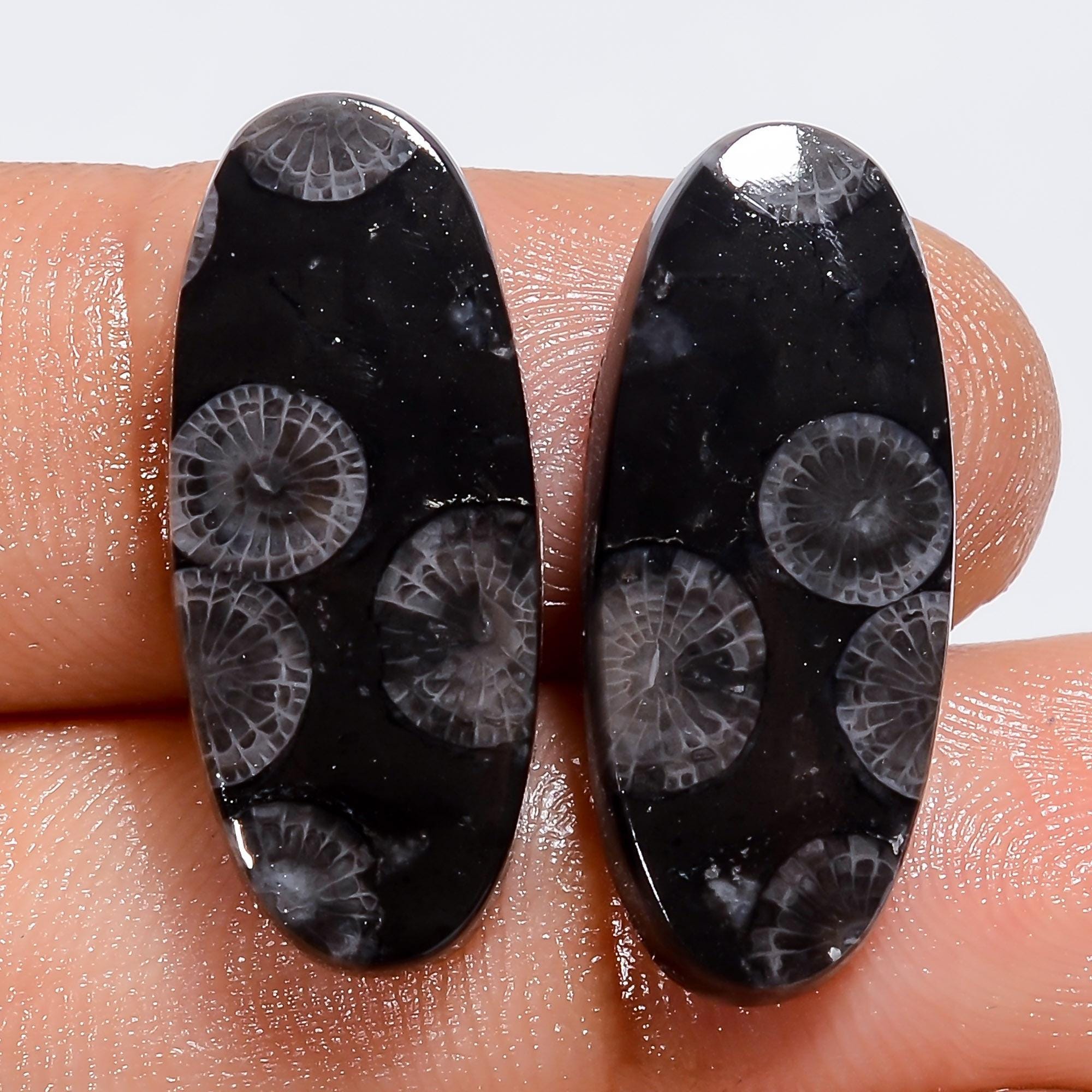 Black Fossil Coral Gemstone Pair, Mix Shape, Earring Jewelry Making Supply - image 2