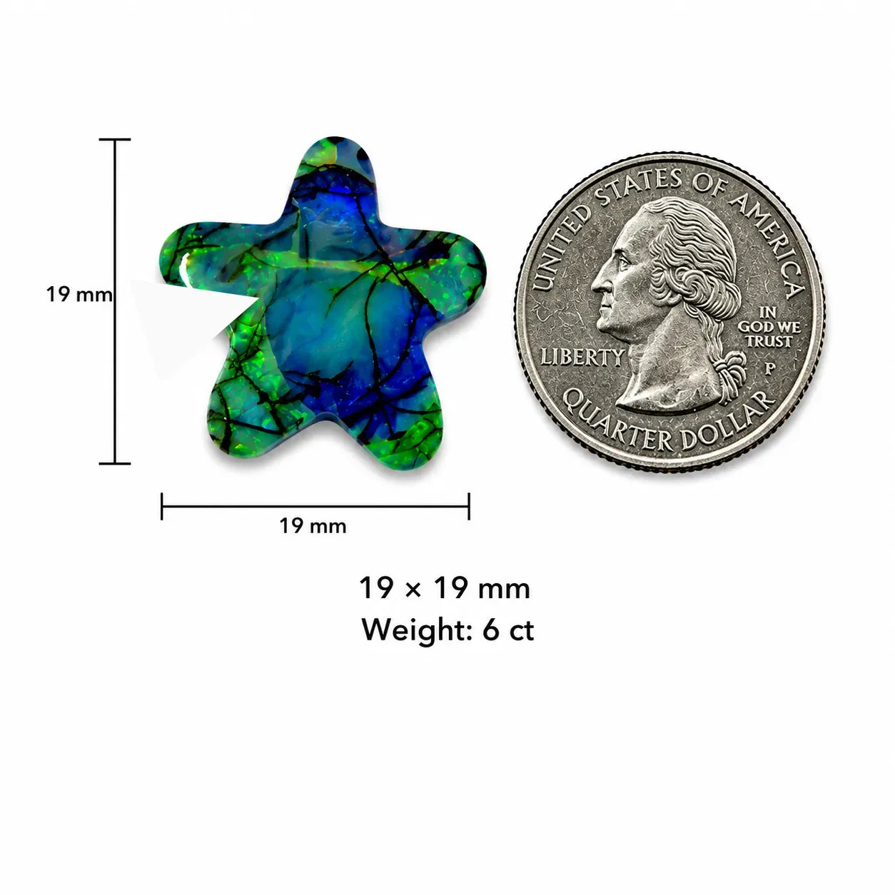 Monarch Opal Star Cabochon size comparison with quarter coin, 19x19mm, 6 cts
