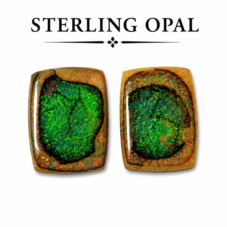 Octagon shape Monarch Opal Cabochon, 13x18mm, 10 carats, AAA grade front view