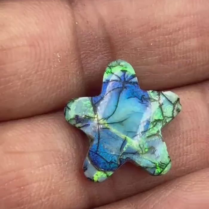 Video showcasing Monarch Opal Star Cabochon fire and play-of-color from all angles