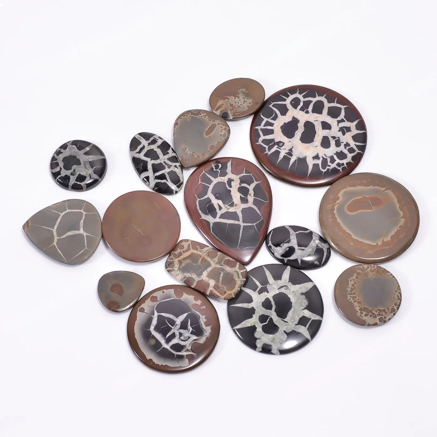 Mud Crack Fossil bulk stone with fossil patterns
