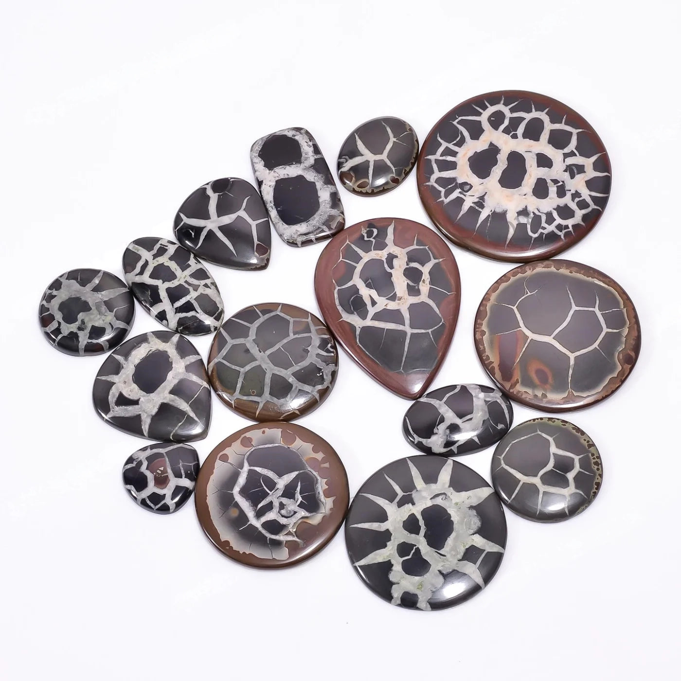 Natural Mud Crack Fossil Cabochon lot