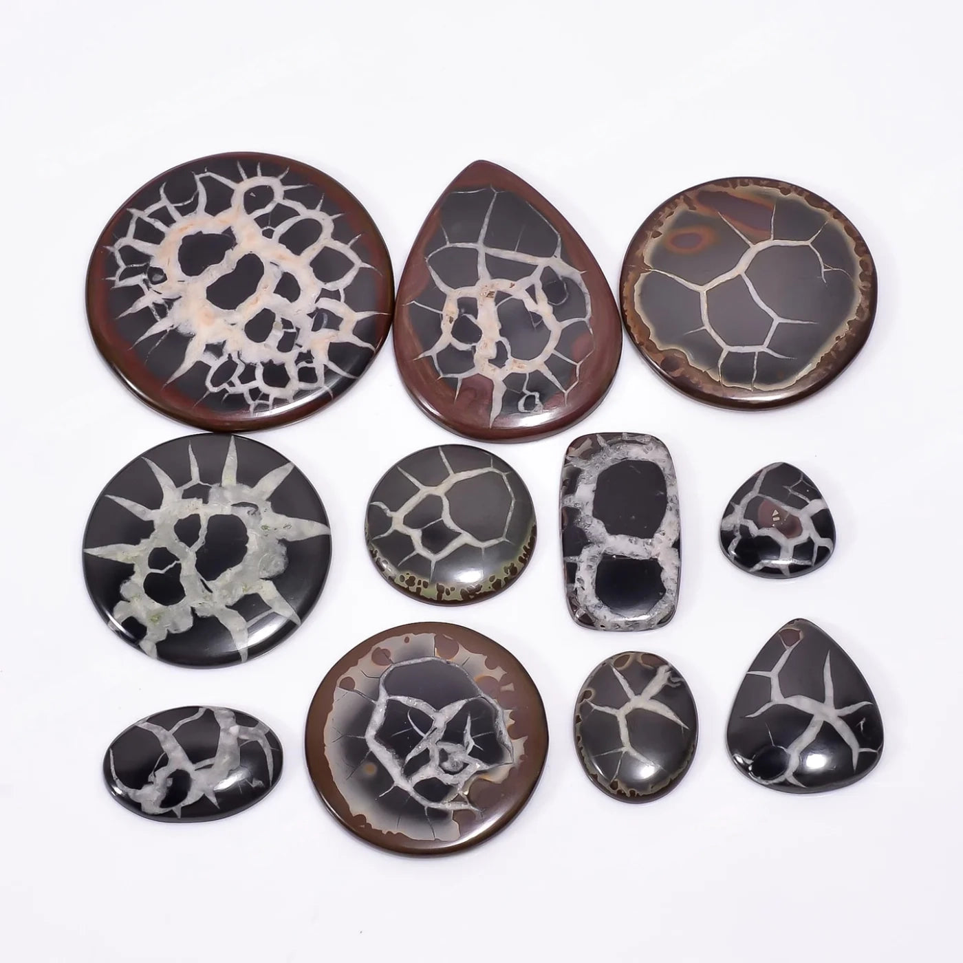 AAA Mud Crack Fossil gemstone Mix Shape